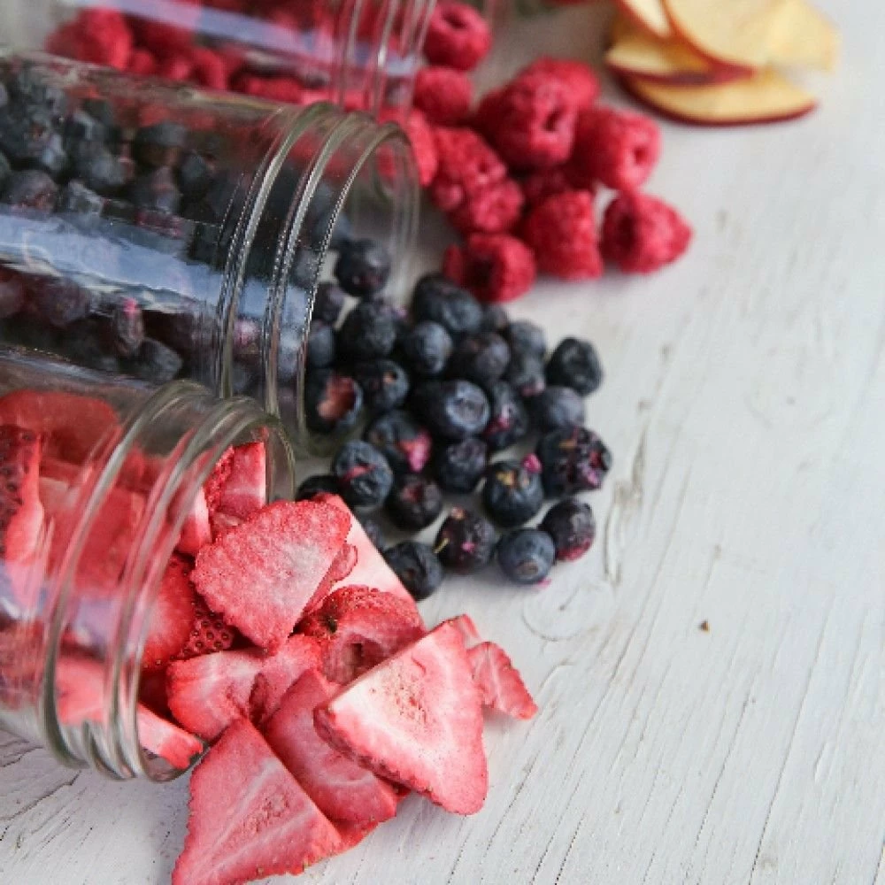 Harvest Right Large Size Home Freeze Dryer | Satin White - Image 5